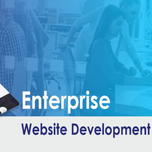 Enterprise Website